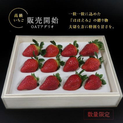 【別送】ほほえみいちご