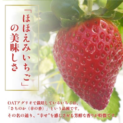 【別送】ほほえみいちご