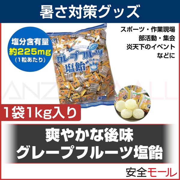 ��������ȥӥ��ߥ�C�۹� ���졼�ץե롼�ı��� HO-164(1����230γ����)