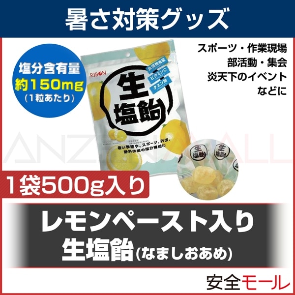 ����ڡ��������������� HO-274(1����125γ����)