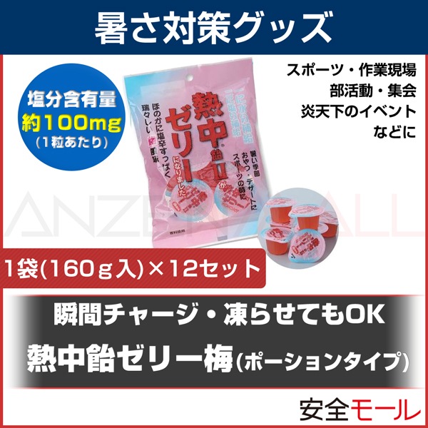 �ƾ�α�ʬ���� Ǯ�氻���꡼�� 12���å� HO-166(1����7������)