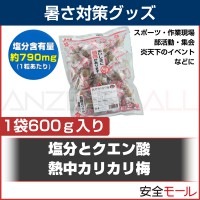 熱中カリカリ梅 HO-34A (1袋約38粒入り) 熱中対策 塩分補給|塩分・水分補給商品|暑さ対策商品