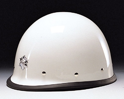 DIC إå ɷ ᥿ӥ祦 若  FRP VP 饤ʡ