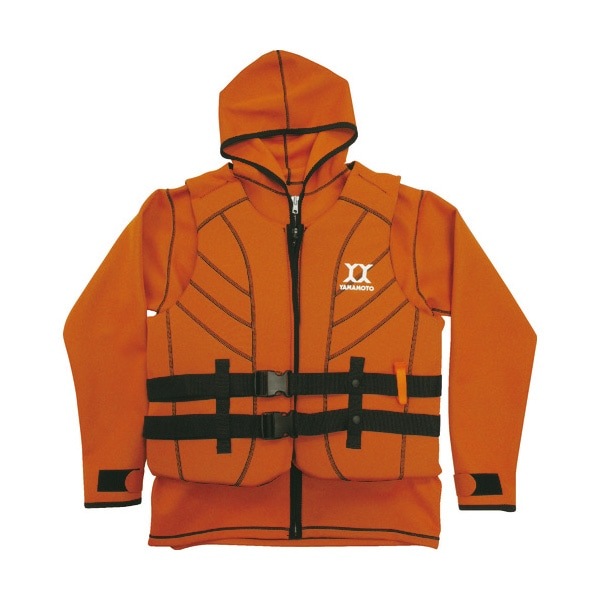 �Х�����С� SAFE �����ϥ��֥�åɥ����� S SAFE-2