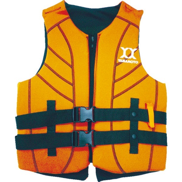 �Х�����С� SAFE �����ϥ��֥�åɥ����� S SAFE-2