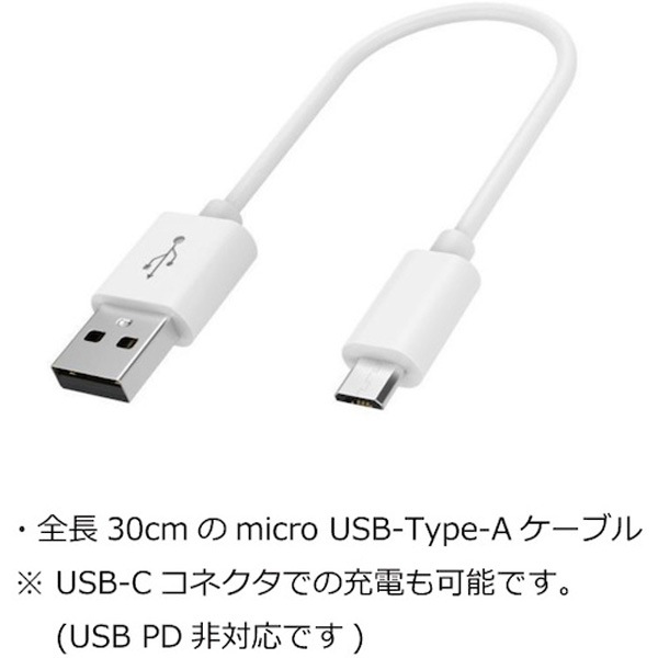 ��Ĭ USB��Х���Хåƥ꡼10,000mAh (USB-C/microUSB) 6151