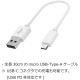 ��Ĭ USB��Х���Хåƥ꡼10,000mAh (USB-C/microUSB) 6151