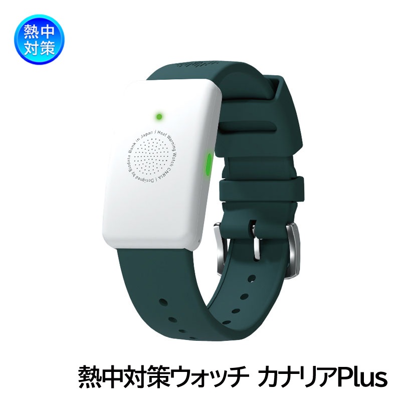 Ǯ���к������å� ���ʥꥢPlus [LED ��ư ���顼��] 2025ǯ��ǥ�