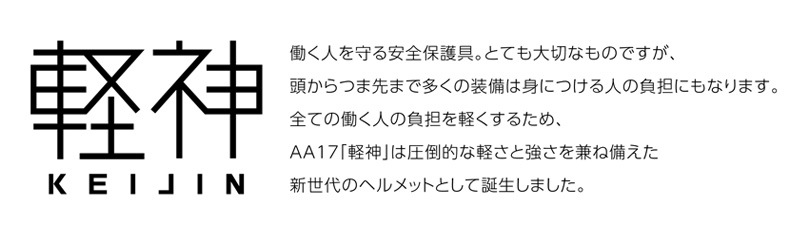 DIC �إ��å� ������ ABS AA17 �ڿ� (HA5����/����⡼��� ��������η��饤�ʡ�) �����ʪ ������ݸ� �ŵ����