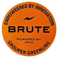 GRANDAGE BRUTE ɥåץ ƥå