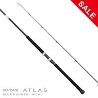 値下げ APIA GRANDAGE 90ML GRANDAGE STD. 90ML | ロッド,シーバス,GRANDAGE STD. | APIA