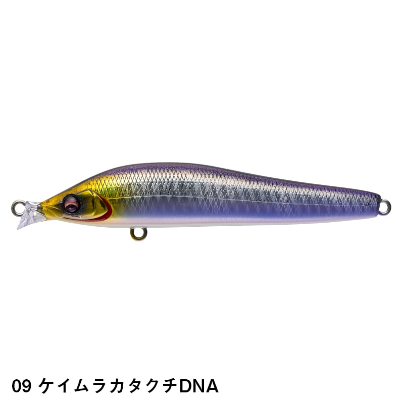 AILED'ORE85SSL エルドール