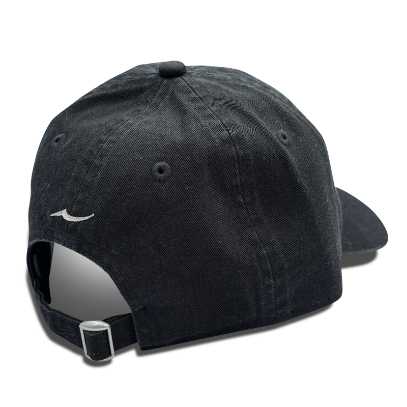 2026 APIA × NEW ERA 9TWENTY キャップ | 2026FS 限定アイテム | APIA