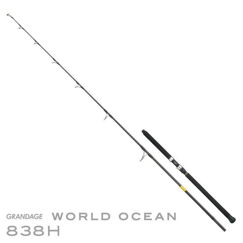 GRANDAGE WORLD OCEAN 838H ワールドオーシャン | ロッド,オフショア
