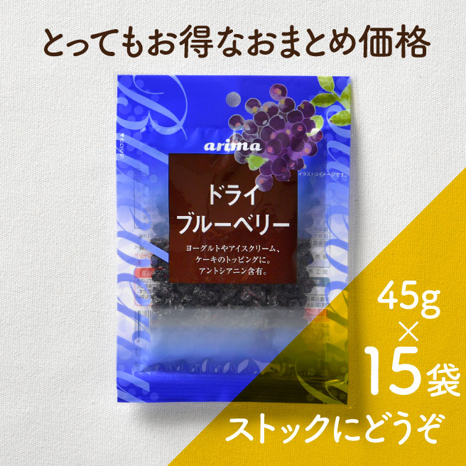 【15袋まとめ買い】（小袋）ドライブルーベリー