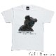 OCE004　オリジナルTシャツ　クマ