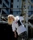 【ARTIMATION×ベルセルク】  「狂戦士ガッツ S/S TEE」 BERSERK AMBS013