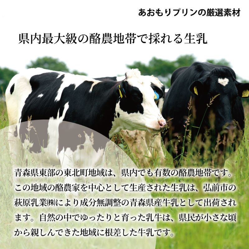 あおもりプリン(プレーン・りんご)各3本セット