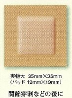 ブラッドバン Ｌサイズ 500回分