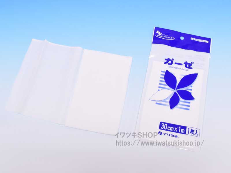 ホームケア ZXH-AME-(1)｜テルワールド（NTT中古ビジネスフォン販売店）