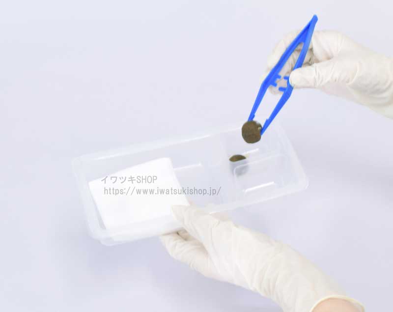 ����ĥ����ǥ��å� SB������ 12����