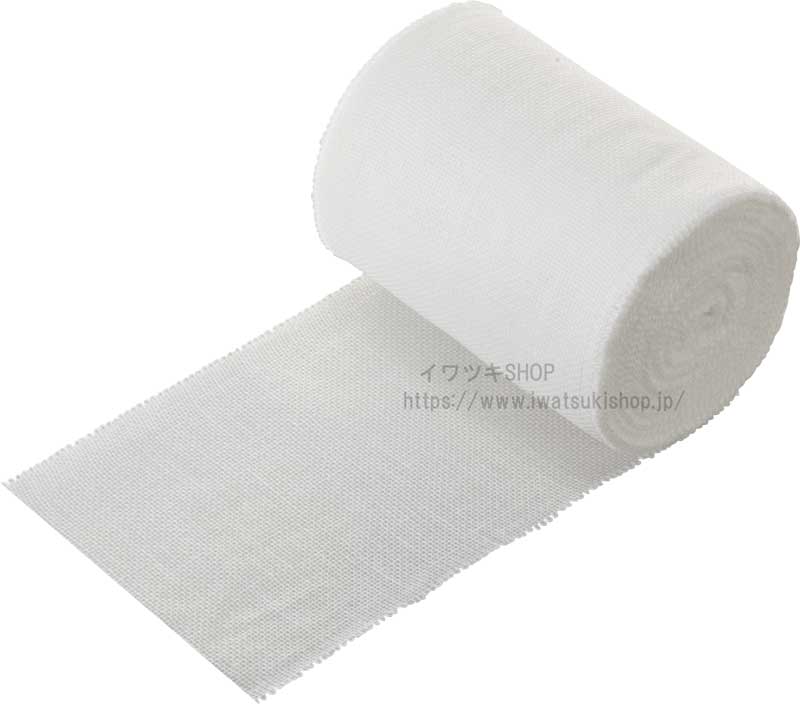 �ʥѥ������ӣΡ������� ���աˣ�ȿ��