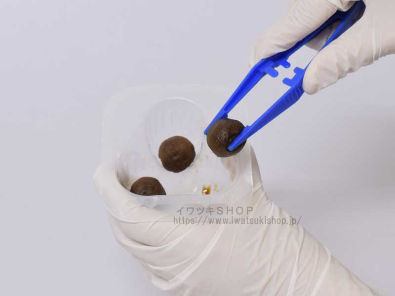 �Ƕݥ������С����å��ʵ�#10 5�� 24����