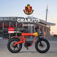 電動アシスト自転車 COSWHEEL MIRAI SPORTY