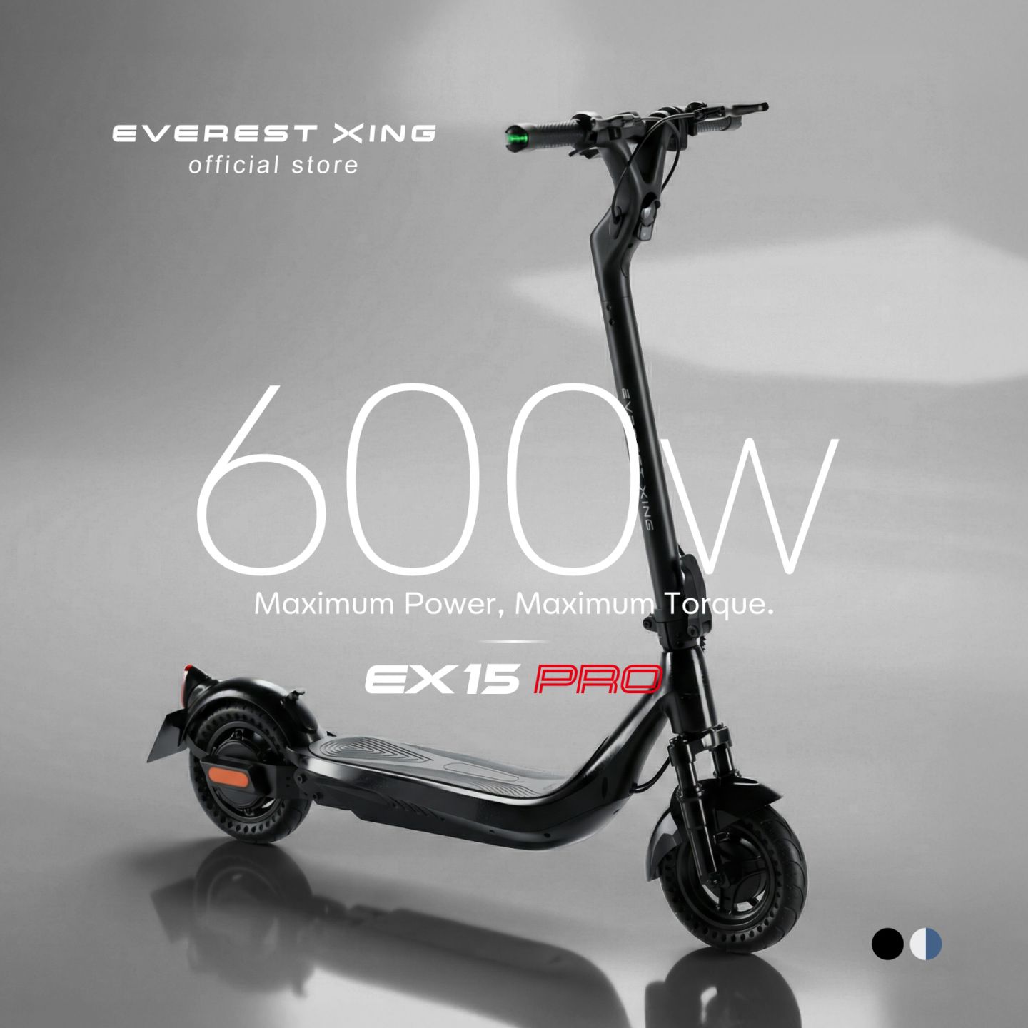 特定小型原動機付自転車】電動キックボード EVEREST XING EX15 PRO