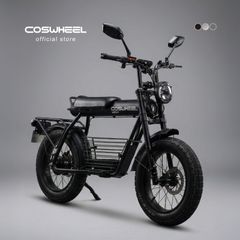 COSWHEEL MIRAI GS����ư�Х��� ���̸��ե�ǥ�