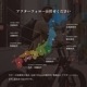 ڴָ ꥢꥢץ쥼ȡ2025 NEW MODEL COSWHEEL MIRAI COMFORT ưȼž e-bike