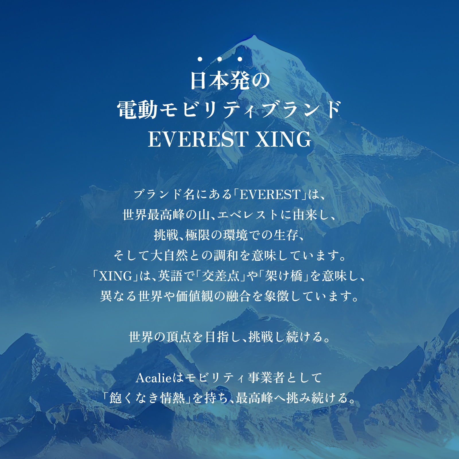 ��OUTLET SALE����EVEREST XING EX15 ���꾮������ ��ư���å��ܡ��� �ȳ��Ƕ�600W�⡼�������