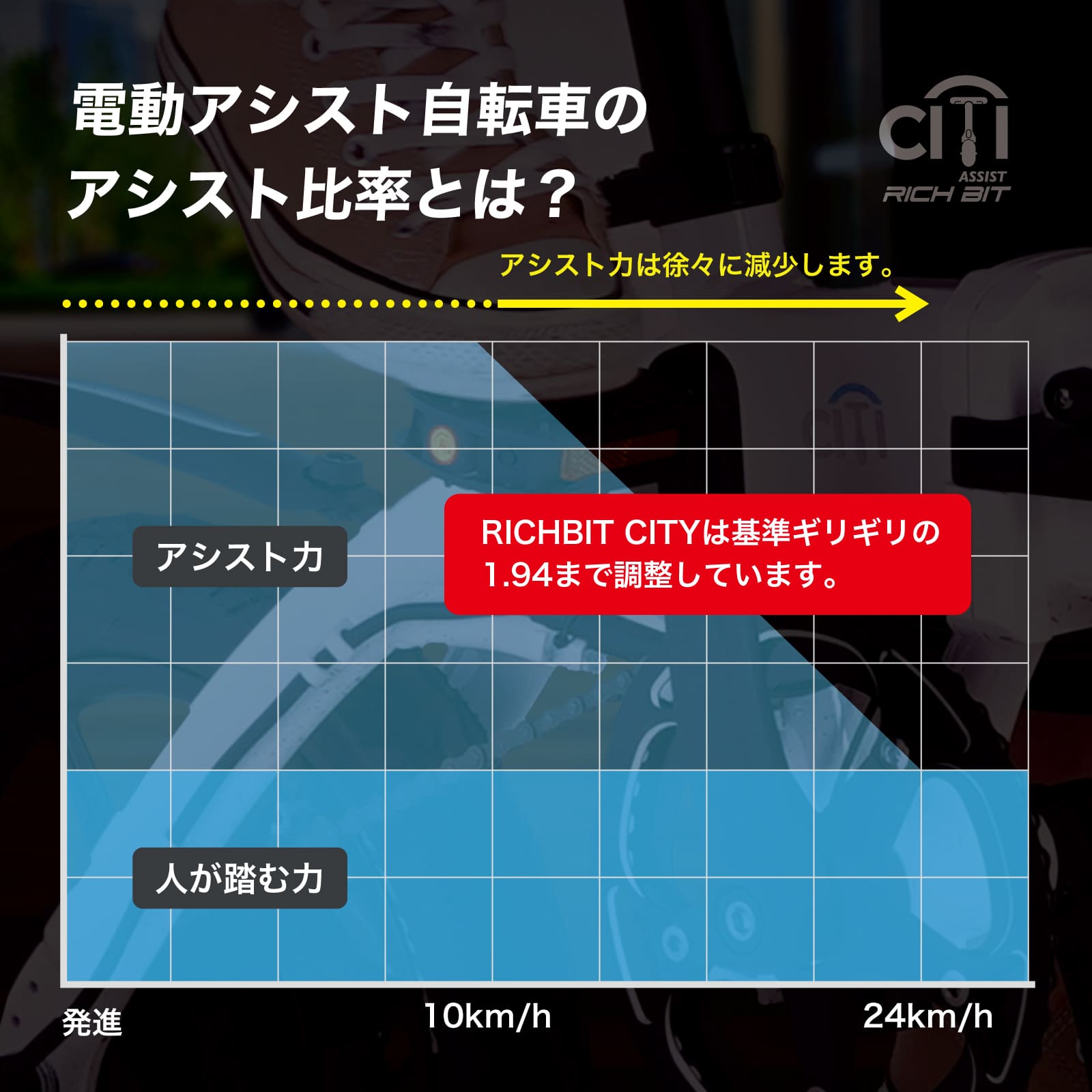 ��OUTLET SALE����RICHBIT CITY ASSIST ��ư�������ȼ�ž�� ����ǧ�������