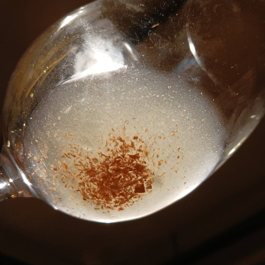 ɥ饴󥢥[] ˥åǥ󥨡  24(350ml24)̾ʤ15%OFF/̸