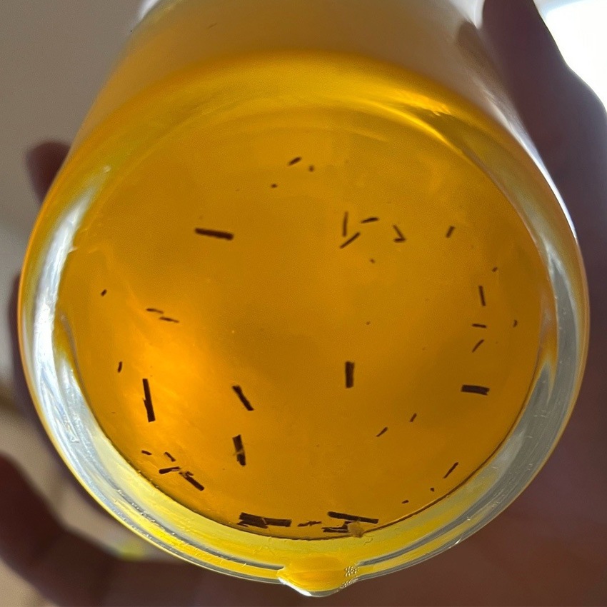 �ɥ饴�󥢥�[���Ρ�] �������˥å��ڡ��륨����  24����(350ml��24��)�̾���ʤ��15%OFF/���̸���