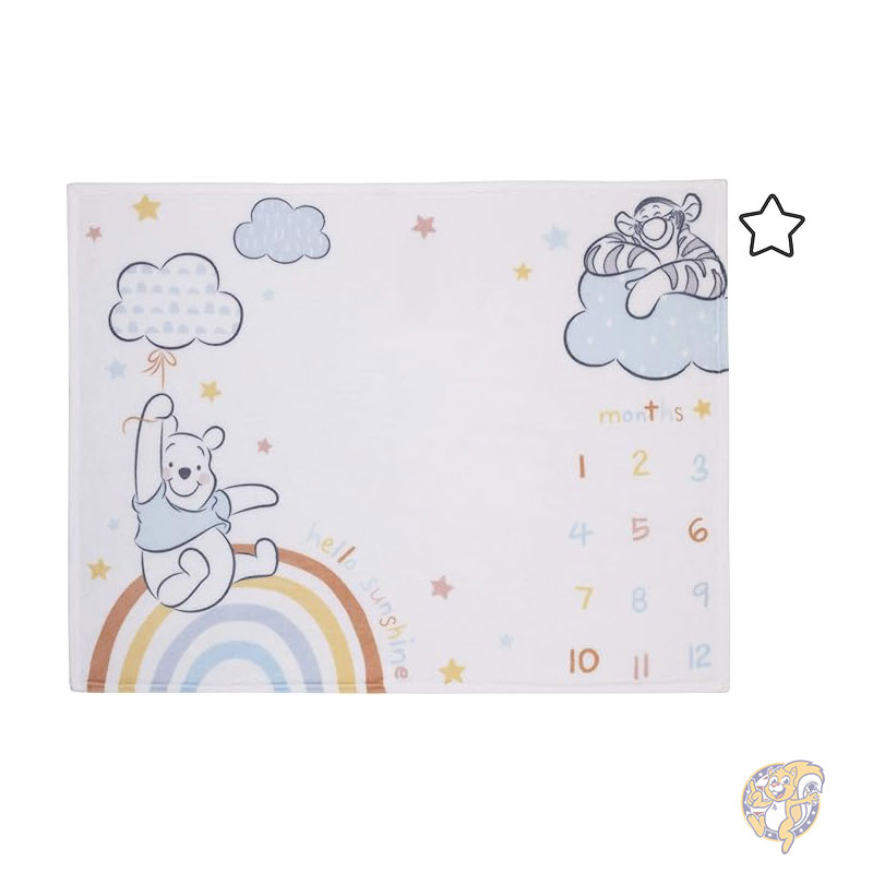 ディズニー Disney くまのプーさん ブランケット ホワイト イエロー アクア スーパーソフト マイルストーン ベビーブランケット