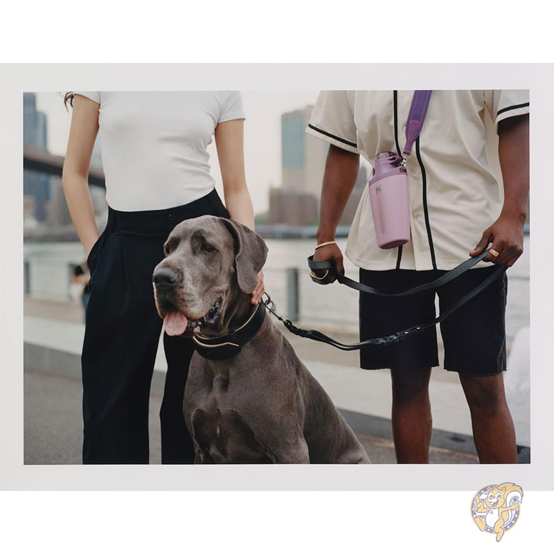 Stanley スタンレー クロス ボトル 水筒 ジャカード ストラップ付き 23オンス 680ml トラベル ボトル 取り外し可能なストロー付き漏れ防止トライタン蓋 リサイクル ステンレス スチール 二重壁真空断熱