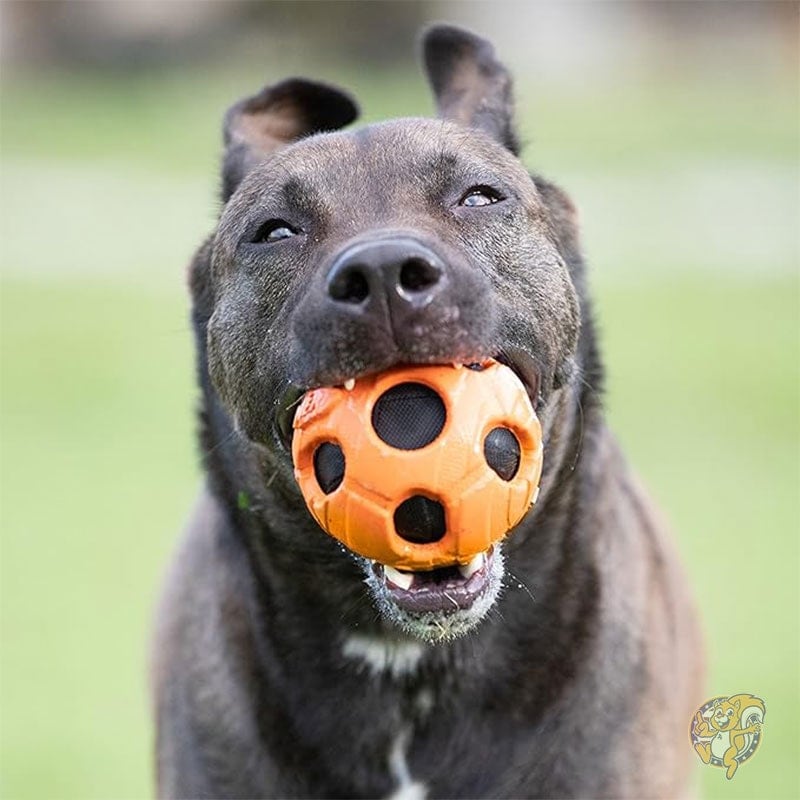 バッシュ クランチ ボール ラージ オレンジ フリーサイズ 犬用おもちゃ ペット用品 ナーフ Nerf Dog
