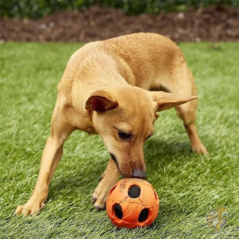 バッシュ クランチ ボール ラージ オレンジ フリーサイズ 犬用おもちゃ ペット用品 ナーフ Nerf Dog