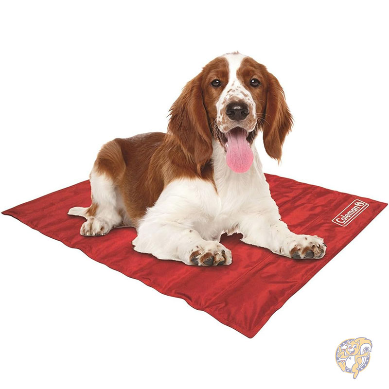 ペット用冷却マット レッド 61×76cm コールマン Coleman