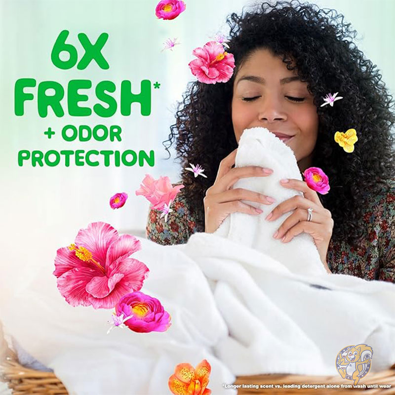 ゲイン Gain 洗濯洗剤 衣類消臭 インウォッシュ ランドリー セント ブースター ビーズ ハッピー セント 24 オンス 680g