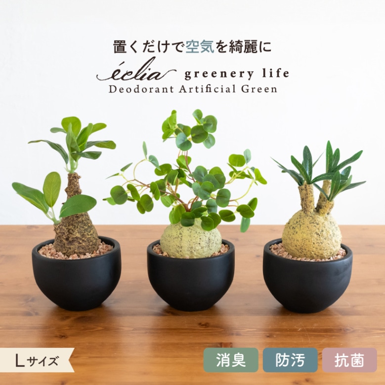 フェイクグリーン CT触媒 L