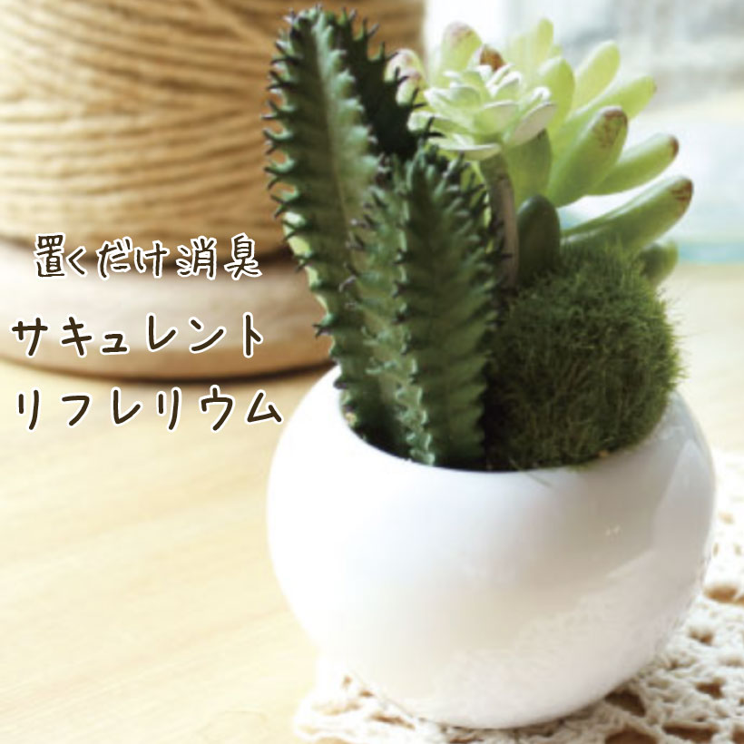 フェイクグリーン CT触媒