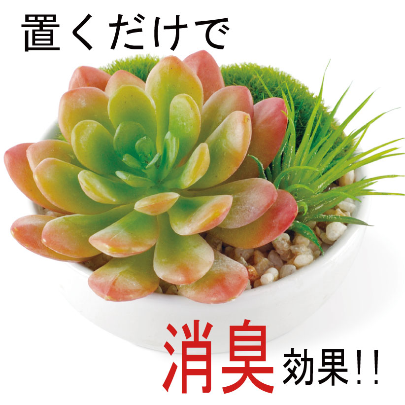 フェイクグリーン CT触媒