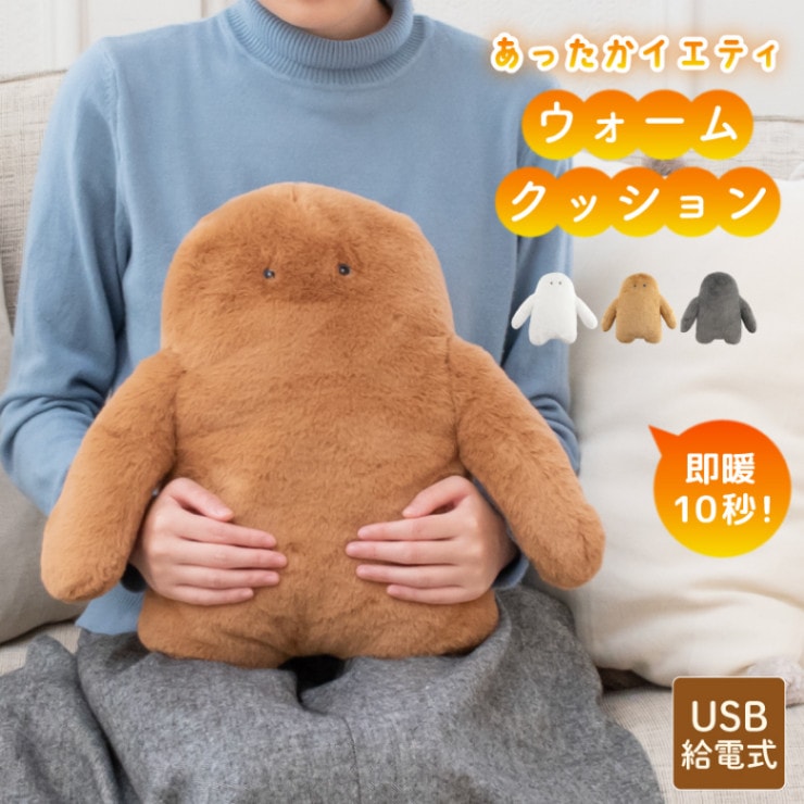 USBウォームクッション