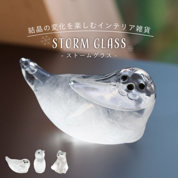 ストームグラス