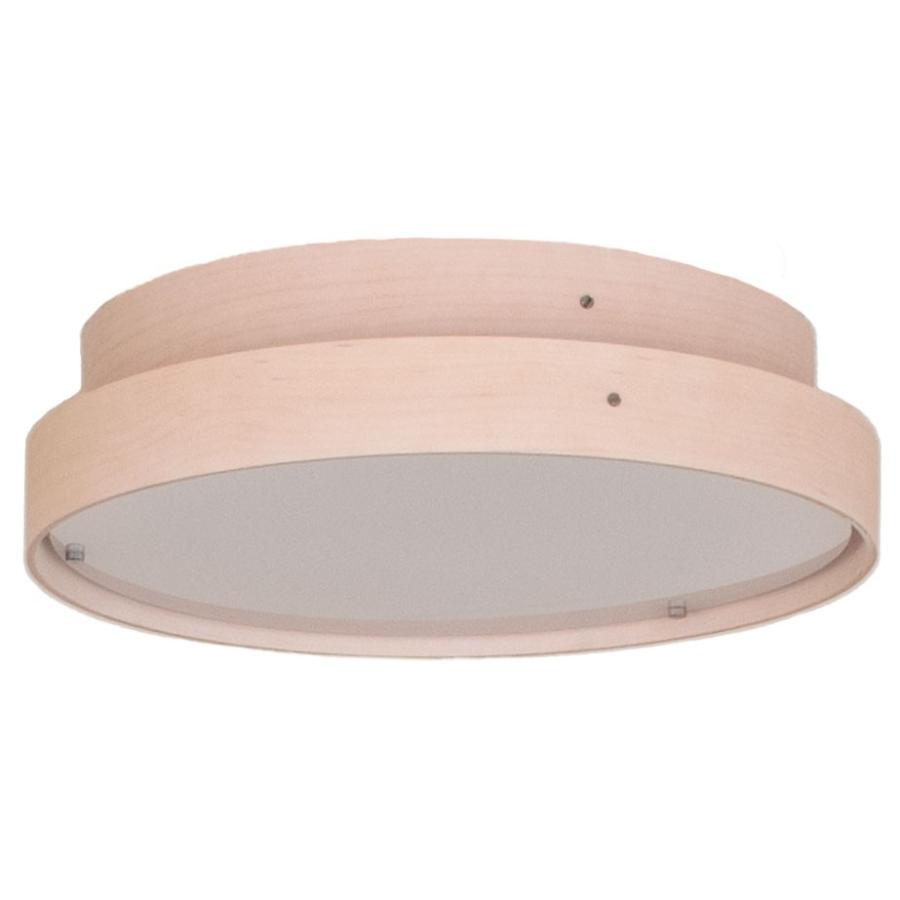 LEDシーリングライト