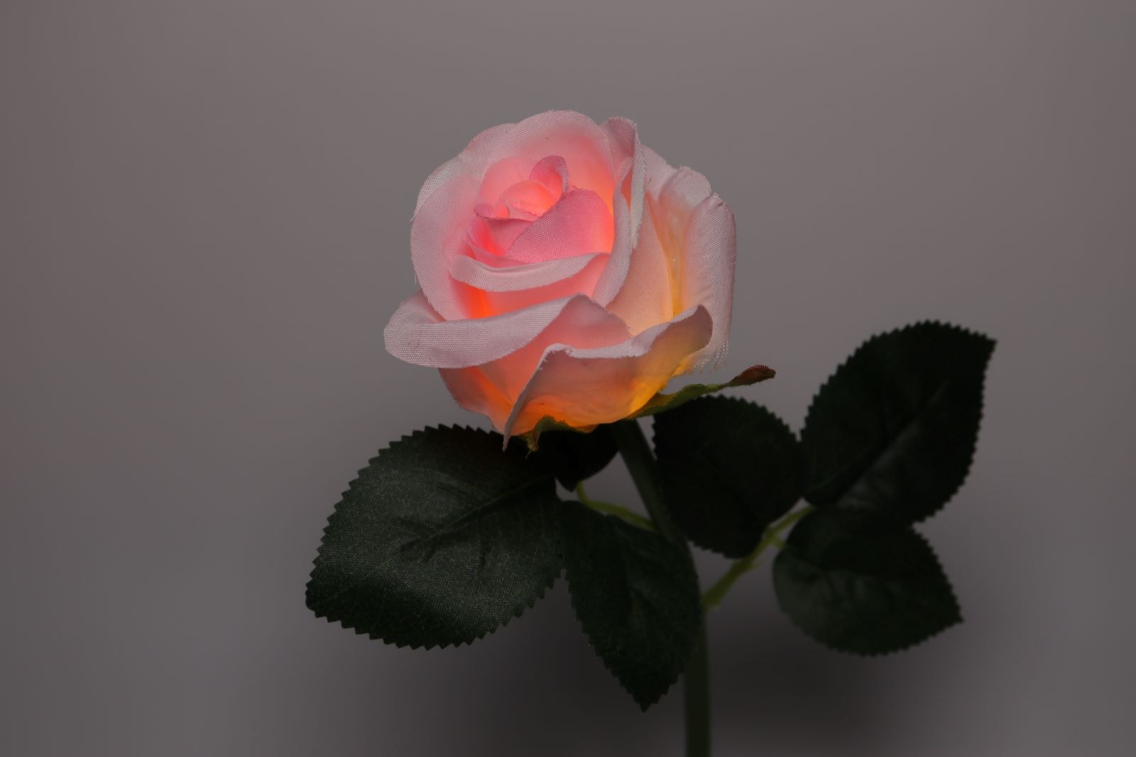イルミネーションフラワー　バラ ピンク　　　　　　　　　　＊花のみ