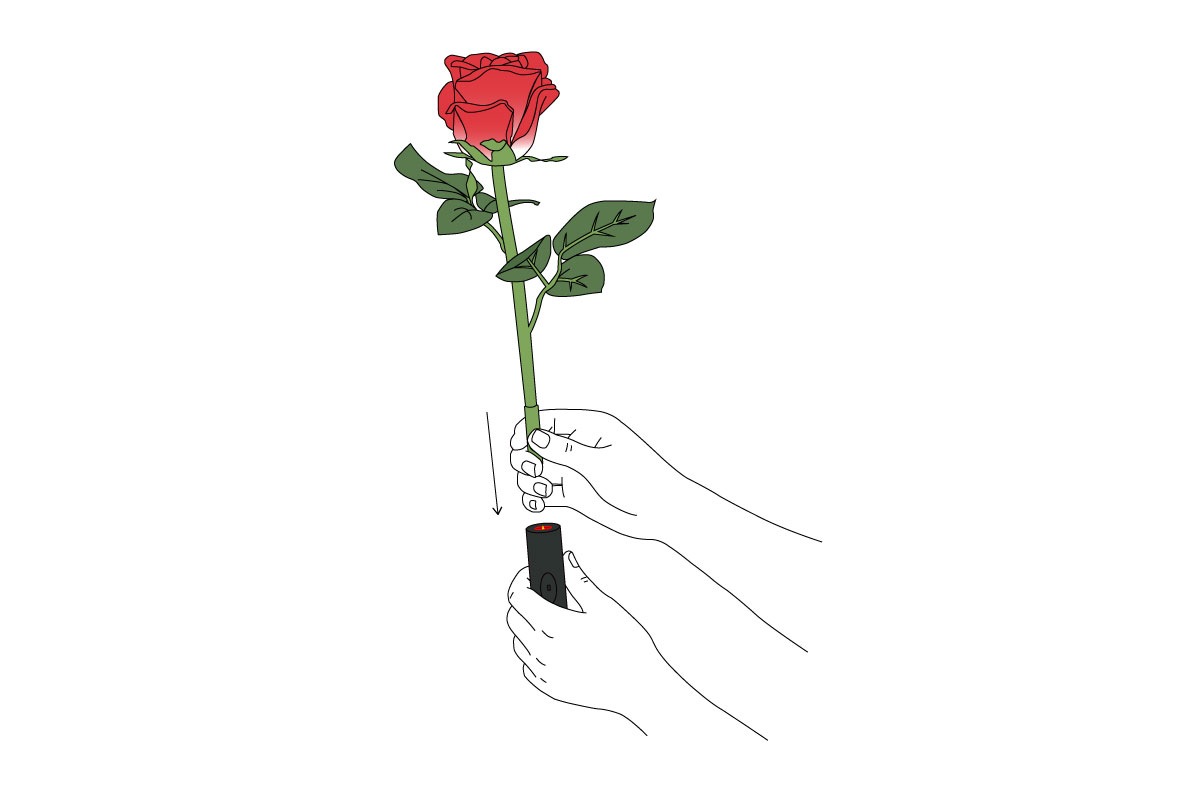 イルミネーションフラワー　バラ ピンク　　　　　　　　　　＊花のみ