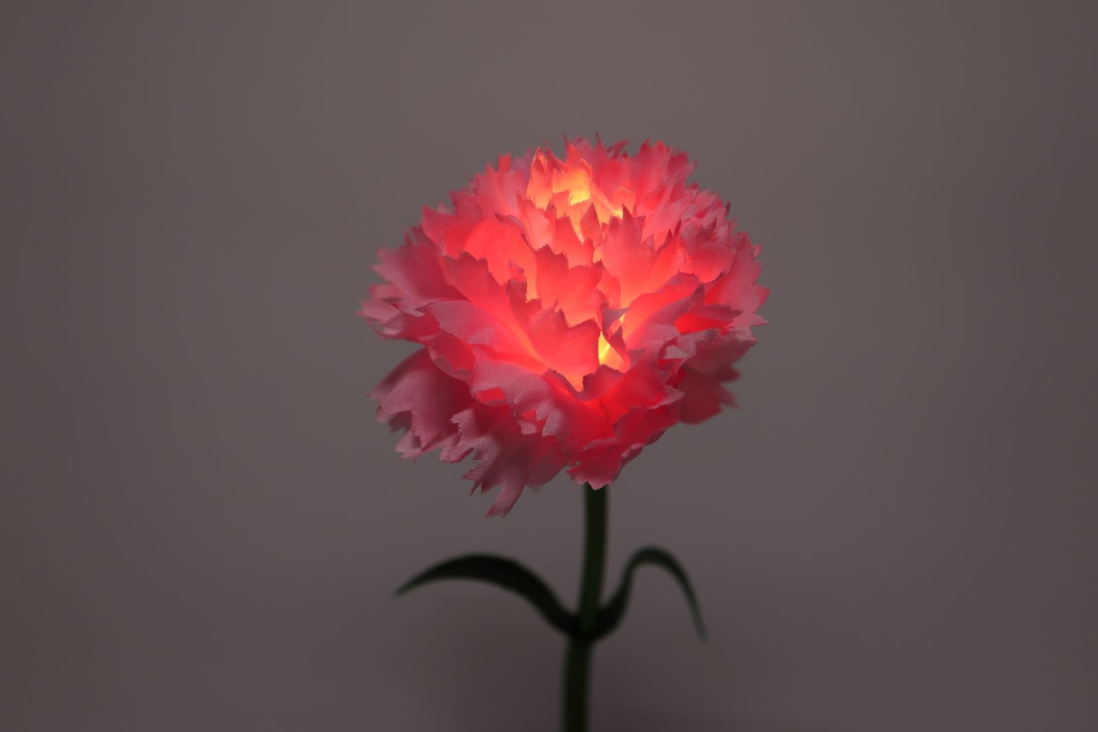イルミネーションフラワー　カーネーション　ピンク　　　　　　　　＊花のみ